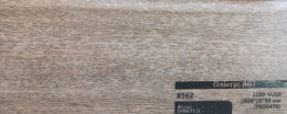   AGT  8562